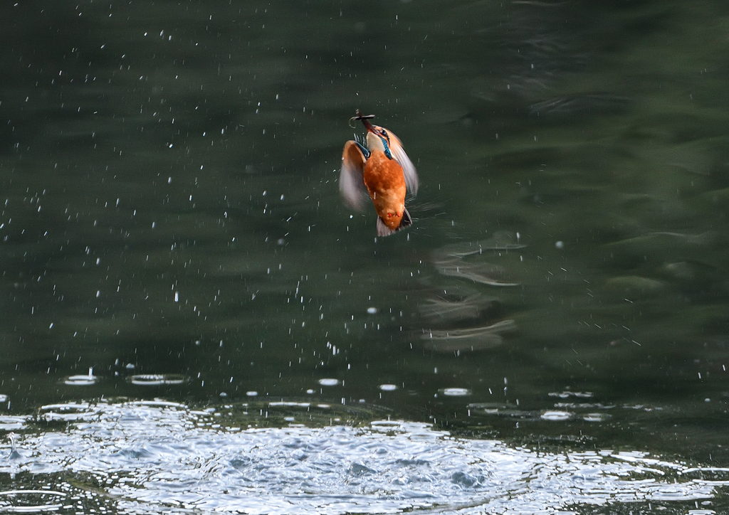 あれ～・・・・❸