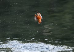 あれ～・・・・❸