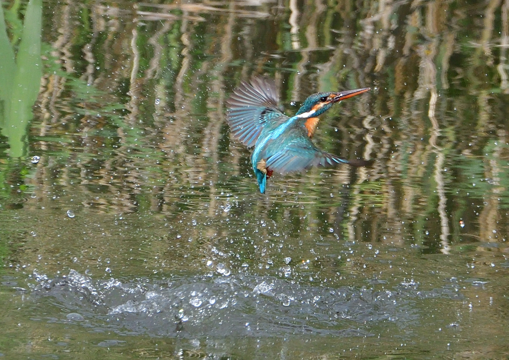 水飛沫　５/１５❷