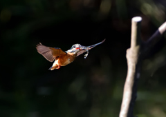 いつもの公園で　９/６❷