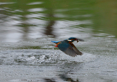 水飛沫　４/１❸