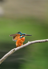 いつもの公園で　１０/２❶