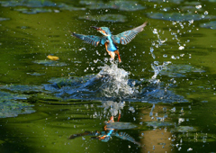 いつもの公園で　９/９❶
