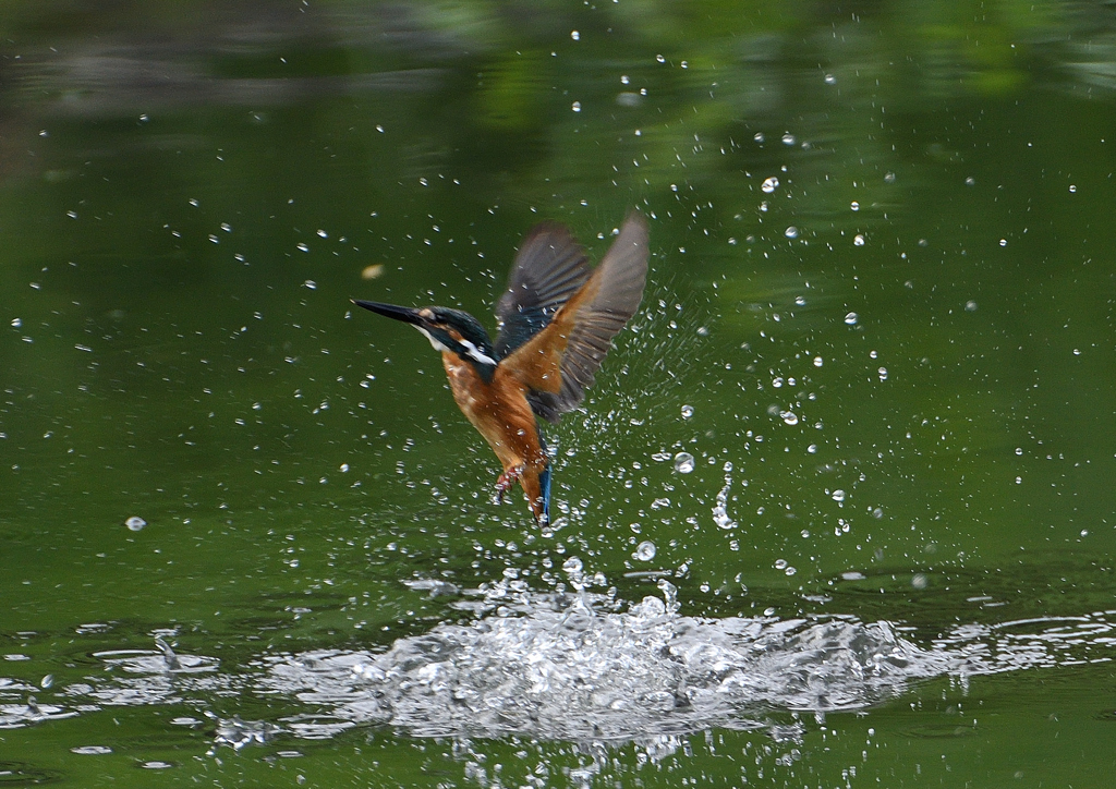 水飛沫　８/３１❷
