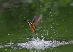 水飛沫　８/３１❷