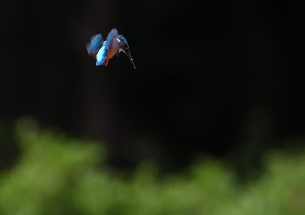 ホバ　５/２０❼