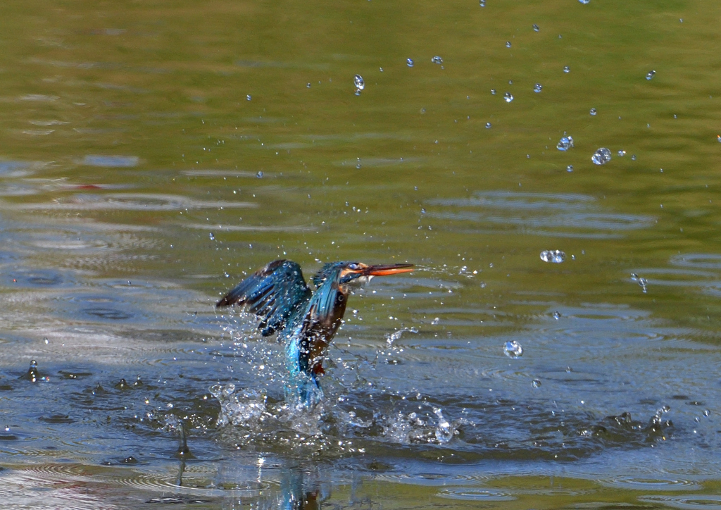 浮上　５/１４❸