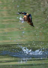 ダイブ　５/１５❶