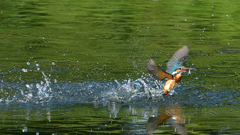 いつもの公園で　８/２６❺