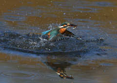 離水から　１１/５　❷