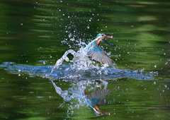 ダイブ　５/２２❶