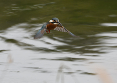 ホバ、ホバる❸