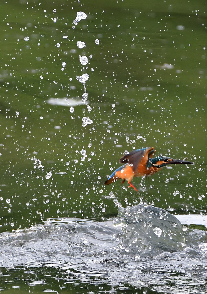 水飛沫　７/２９①