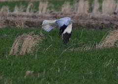 _190205_162642 DSC_8770