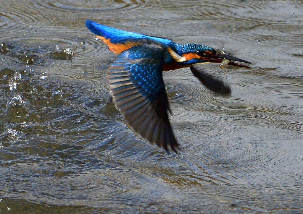 いつもの公園で　１１/３０❾