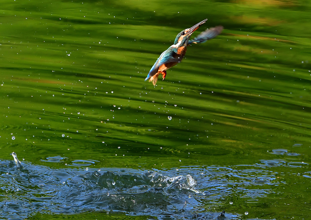 いつもの公園で　８/１４❸