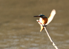 _190125_101540 DSC_6374