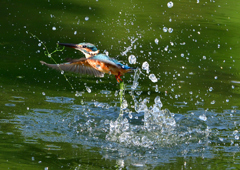 いつもの公園で　８/２６❷