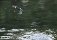 あれ～・・・・❺