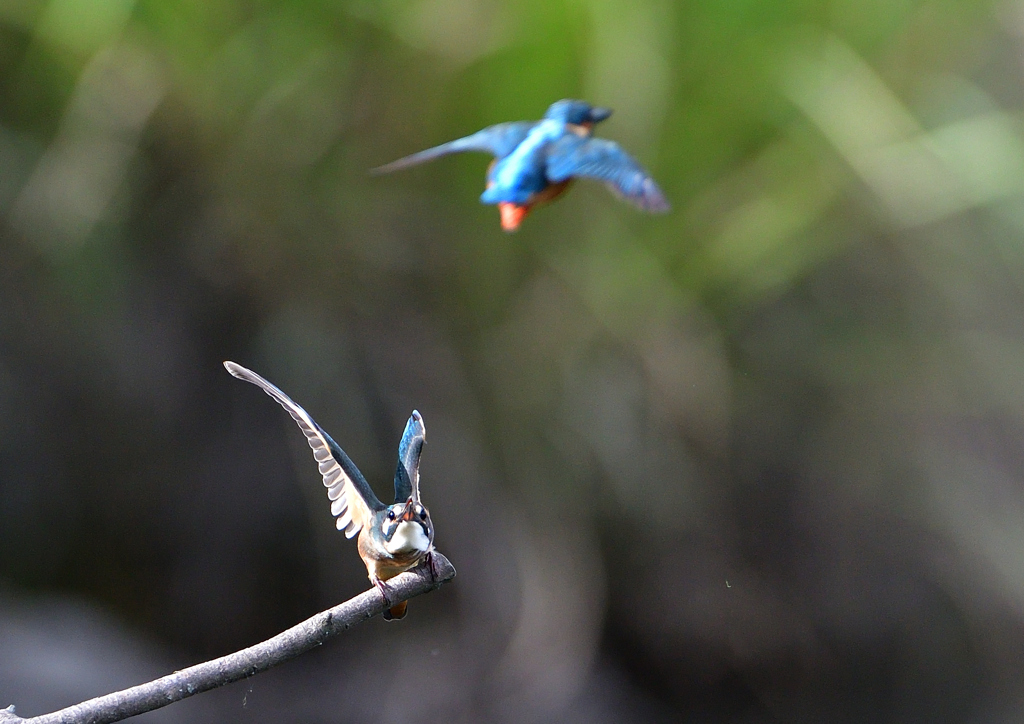 いつもの公園で　１０/６❻