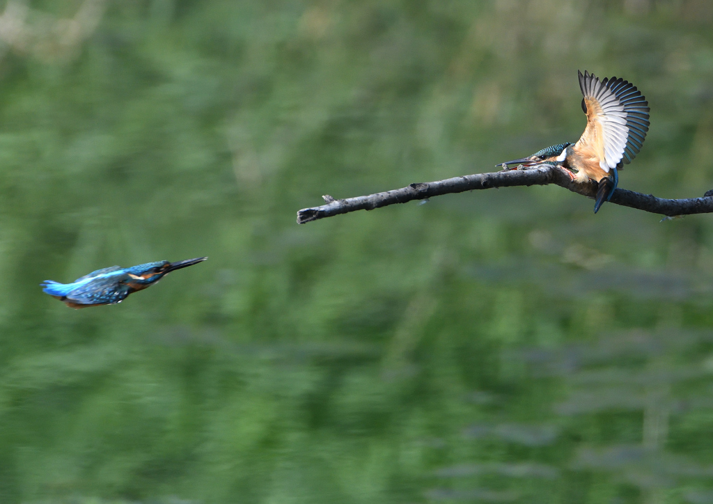 一発即発　９/３❶