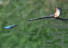 一発即発　９/３❶