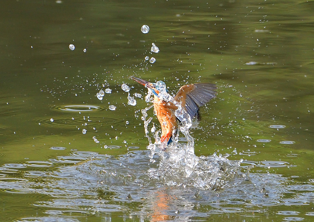 水飛沫　５/１❹