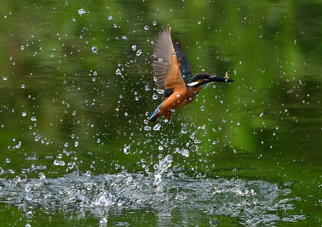 いつもの公園で　８/２３❶