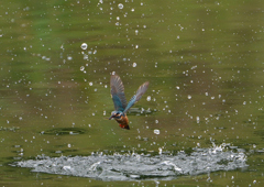 ダイブ❷　７/８