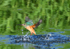 水飛沫　８/１０❸