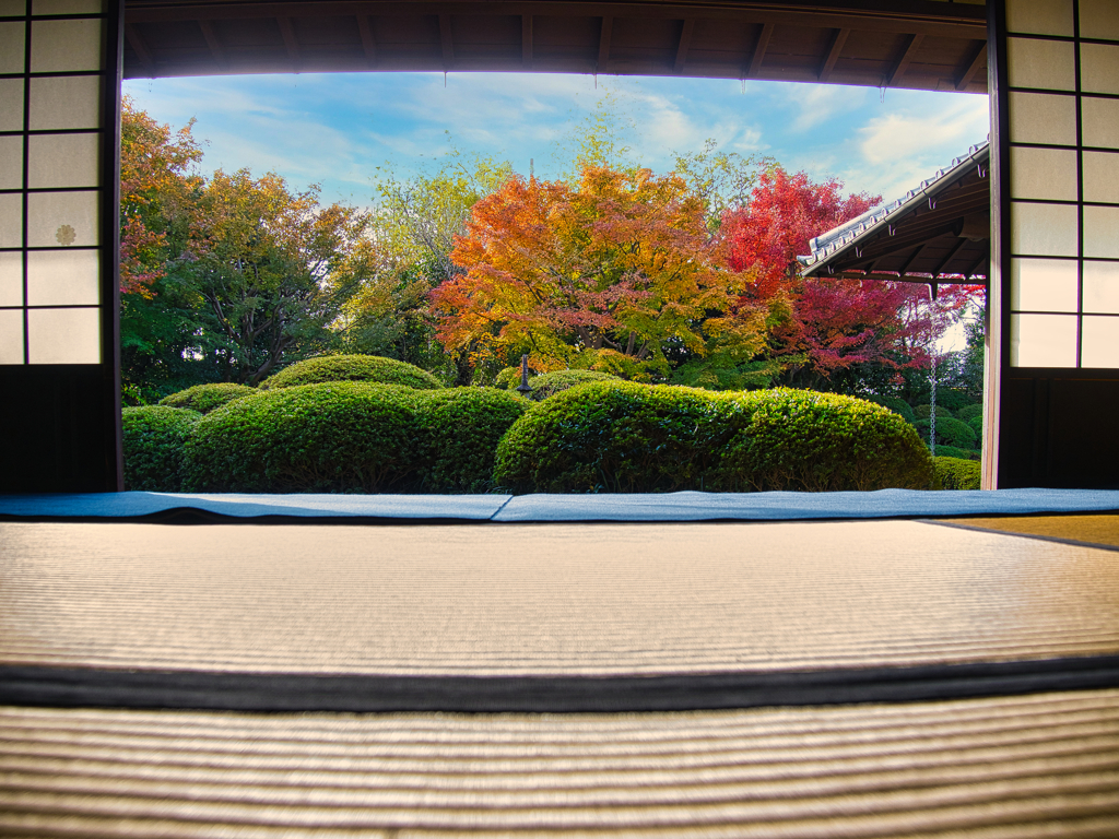 静寂な庭園　１１/３０❷