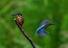 いつもの公園で　９/１６❹