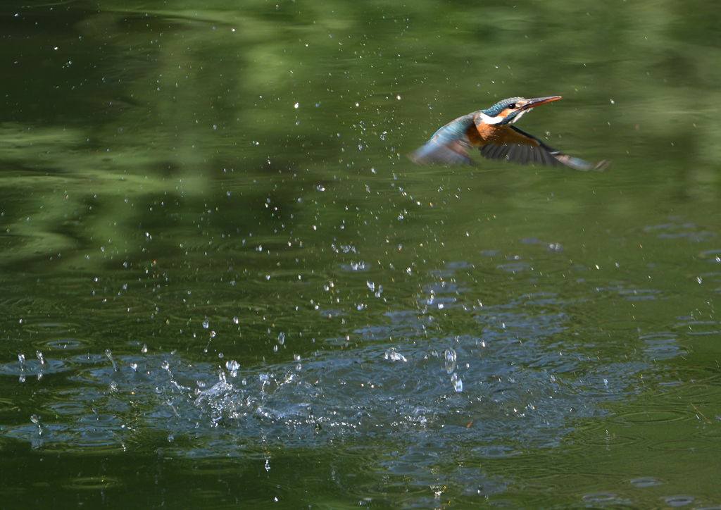 ダイブ　５/２５❸