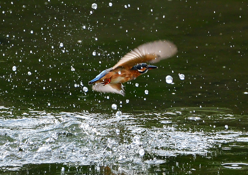 いつもの公園で　１０/１４❽