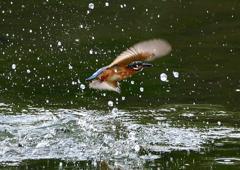 いつもの公園で　１０/１４❽