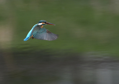 _190317_085112 DSC_7912