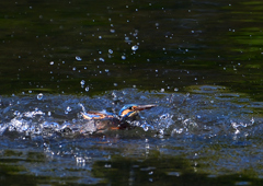 いつもの公園で　１０/１５❻