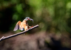 いつもの公園で　９/６❸