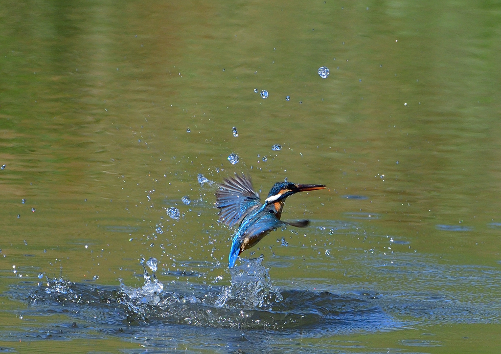水飛沫　５/１４❽