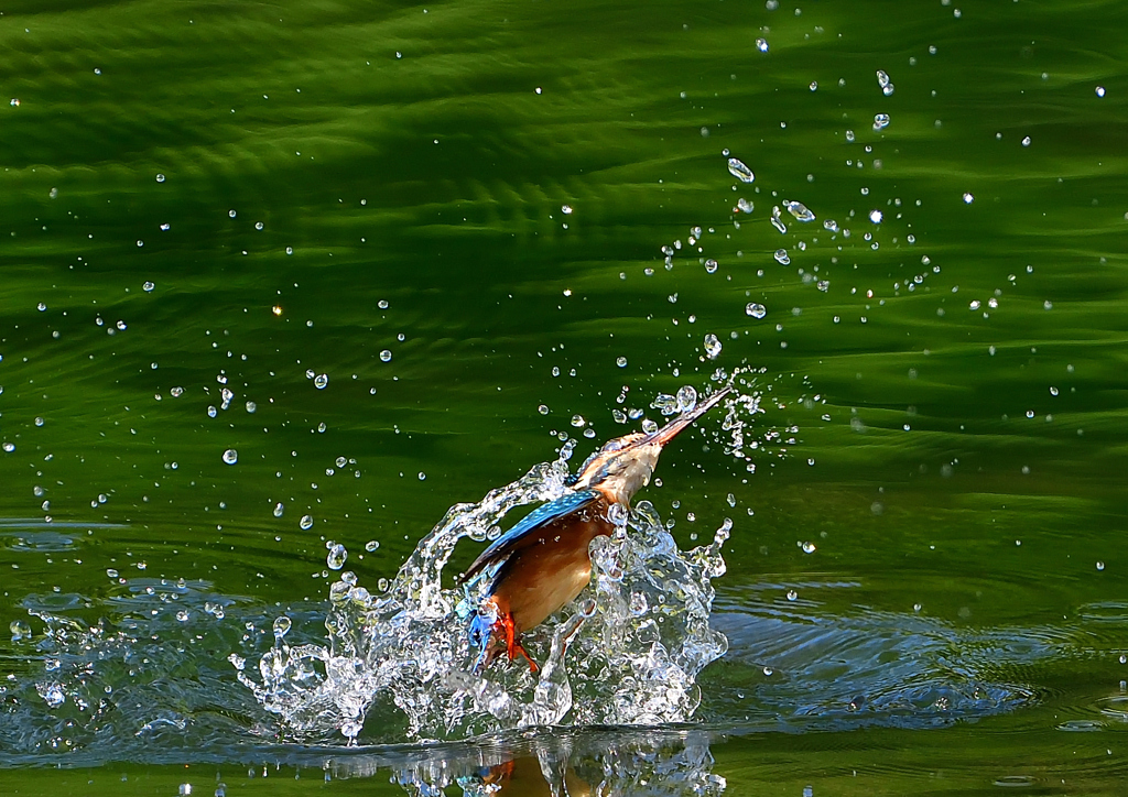 いつもの公園で　８/１７⑩