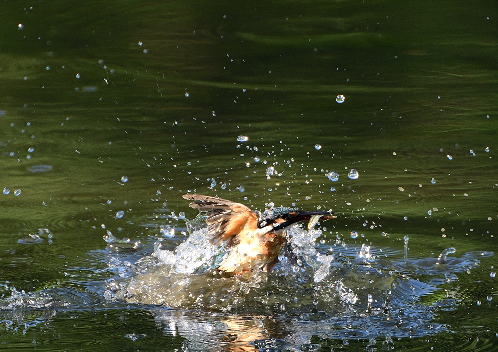 飛沫　８/２６❶