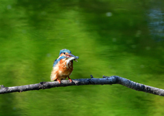 いつもの公園で　８/３０❼