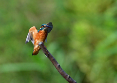 いつもの公園で　９/１２❶