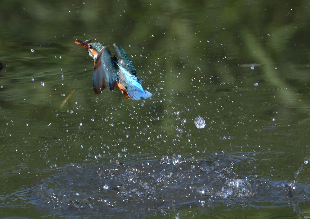 ダイブ　５/２５❷