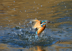 いつもの公園で　１/３１❶