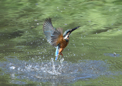 _190906_074017 DSC_9101