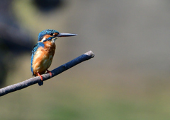 いつもの公園で　８/２６❶