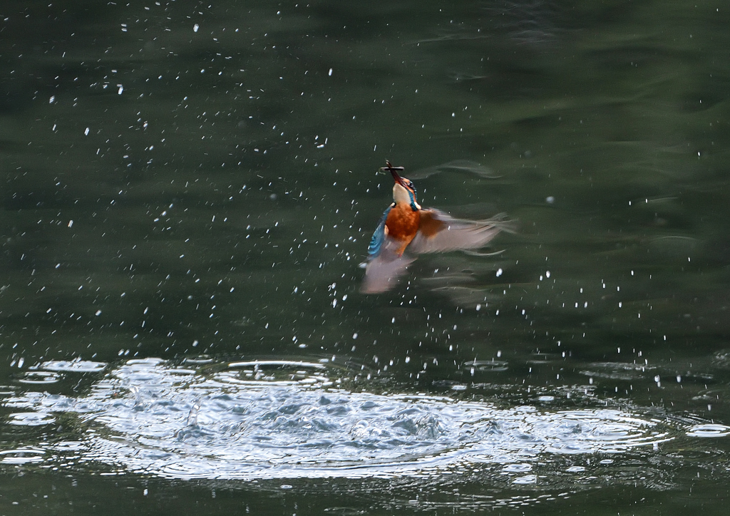 あれ～・・・・❷