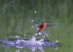 水飛沫　８/１❶