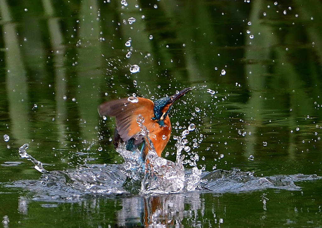 いつもの公園で　９/２６➓